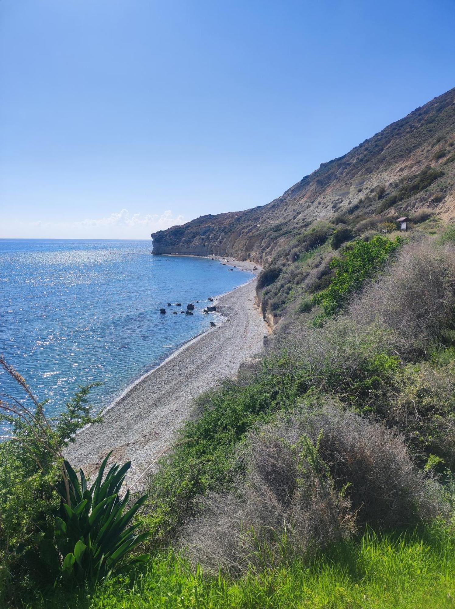 Marina Gardens Daire Pafos Dış mekan fotoğraf