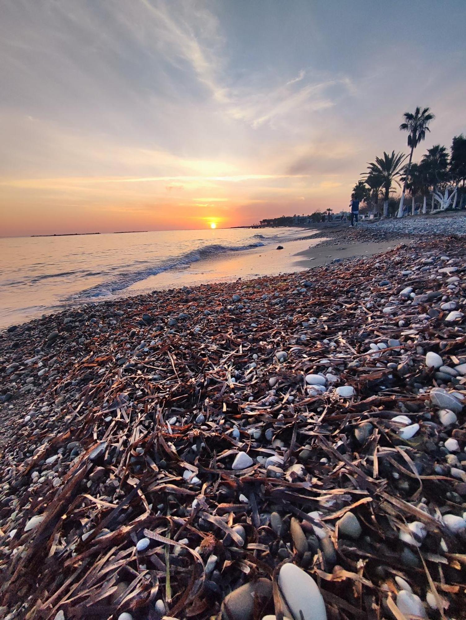 Marina Gardens Daire Pafos Dış mekan fotoğraf
